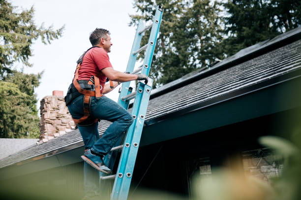 Professional Roofing Services in Argyle, TX